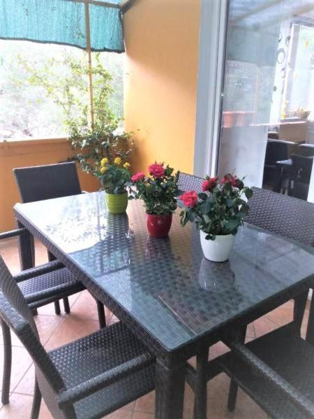Apartman Lucica Zara Esterno foto